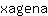 x***a