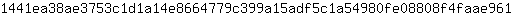 1***1