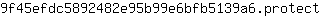 9***t