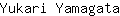 Y***a