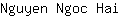 N***i