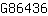 G***6