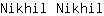 N***l