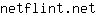 n***t