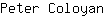 P***n