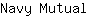 N***l