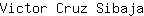 V***a