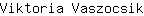 V***k