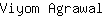 V***l