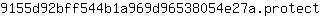 9***t