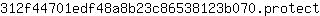3***t