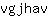 v***v