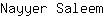 N***m