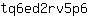 t***6