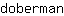 d***n