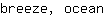 b***n
