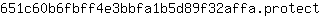 6***t