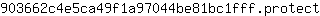 9***t