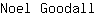 N***l