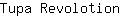 T***n