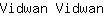 V***n