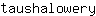 t***y