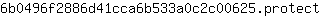 6***t