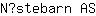 N***S