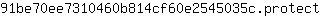 9***t