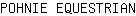 P***N