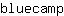 b***p