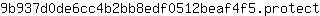 9***t