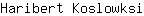 H***i