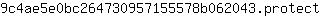 9***t