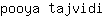 p***i