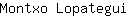 M***i