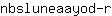 n***r