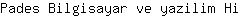 P***i