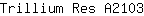 T***3