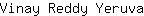 V***a
