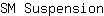 S***n