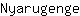 N***e