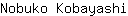 N***i