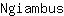 N***s