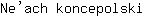 N***i
