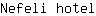 N***l
