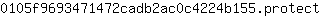 0***t