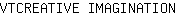 V***N