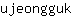 u***k