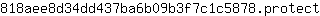 8***t